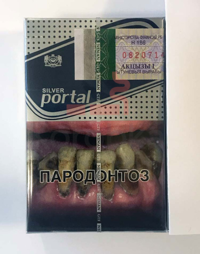 Portal Silver фото 3