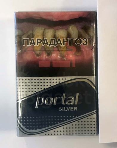 Portal Silver фото 2