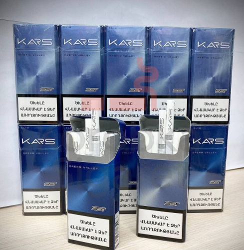 Kars Slim Dream фото 2