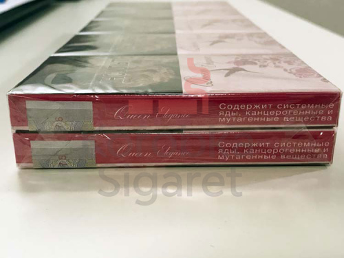 Queen Elegance SS фото 8