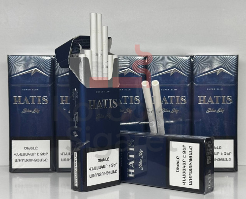 Hatis SS Blue фото 3
