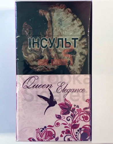 Queen Elegance SS фото 2