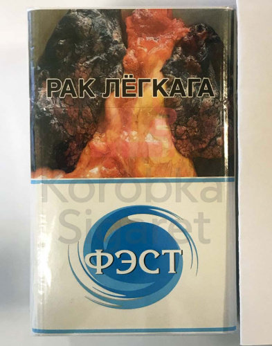 Фэст 7 фото 2