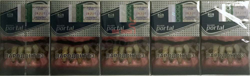 Portal Silver фото 6