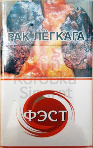 Фэст